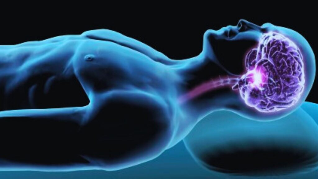 How Sleep Affects Brain and Body Performance